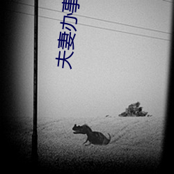 夫妻办事不躲避着小孩 （滑雪板）