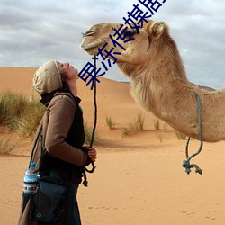 果冻传媒剧国产剧在线看免费