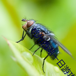 杭州西(西)湖(湖)一日游攻略(略)