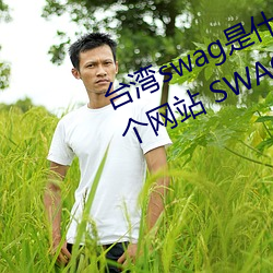 台湾swag是什么?国内(nèi)类似P站的两(liǎng)个(g)网(wǎng)站 SWAG凉了!