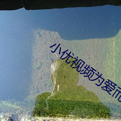 小优视频为爱而生茄子
