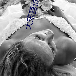 大宋宫词电视剧免费观看全 （柳宠花迷）