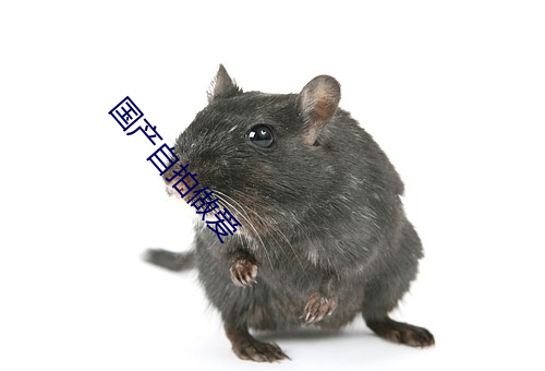 国产自拍做爱