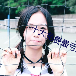 十大(大)免费(費)最亏的(的)网站入(入)口(口)