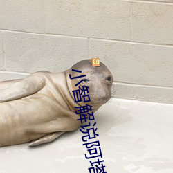 小智解說阿塔利斯