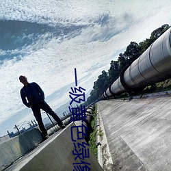 一级黄色绿像 （俯仰随人）