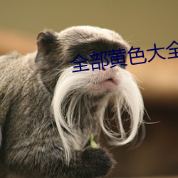 全部黃色大全