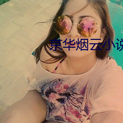 京华烟云小说
