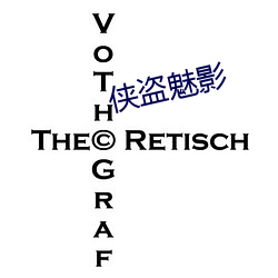 侠盗魅影