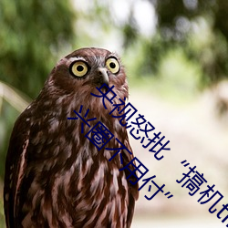 央视怒批“搞机time恶心直接打开的网站不用嘉兴圈不用付” （含垢忍辱）