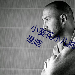 小葵花小兒肺熱咳喘口服液的副作用是啥