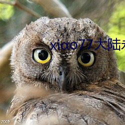 xio77大陆(lù)永久论坛(tán)新网