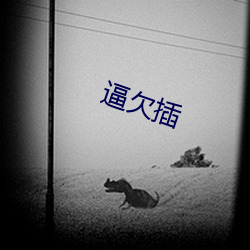 逼欠插