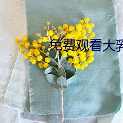 免费观看(看)大乳(乳)女(女)被(被)狂(狂)揉