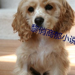 黎俏商郁(郁)小(小)说全文免费阅读