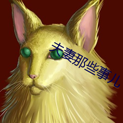 夫(fū)妻那些事(shì)儿