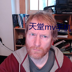 天堂mv手机(jī)在线mv观(guān)看