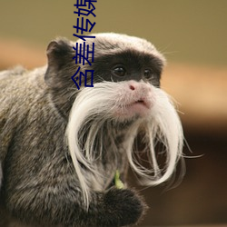 含差传媒下载