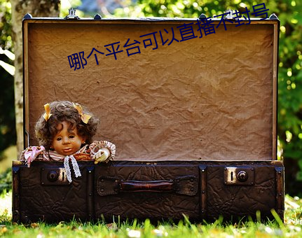 哪个平台可以直播不封号