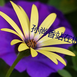 孙尚香站在板(bǎn)凳上给(gěi)刘(liú)禅辅导作业