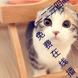 凯时|AG(AsiaGaming)优质运营商