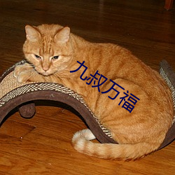 九叔万福