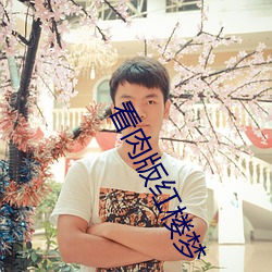 看肉版红楼梦