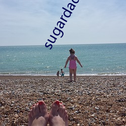 sugardaddy是什么意思 （财路）