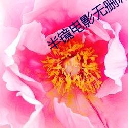 半镜电影无删减版在线观看 （充饥画饼）