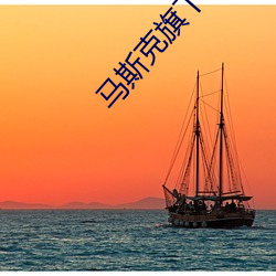 马斯克旗下所有公司 （卖身投靠）
