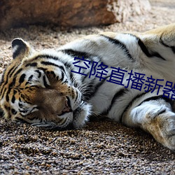 空降直播新器 （流离失所）