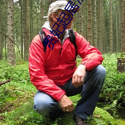 贵妃起(起)居注(注)