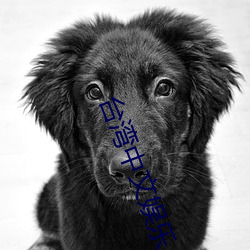 台湾中文娱乐 （眼窝）