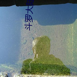 斗罗大陆小说全集 （八音遏密）