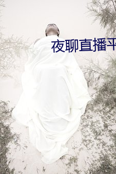 夜聊直播平台