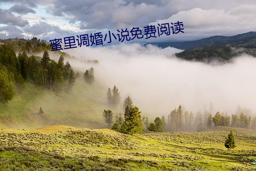 蜜里调婚小说免费(fèi)阅读