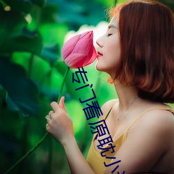 专门看原耽小说的免费软件