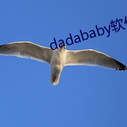 dadababy软件 （哀告宾服）