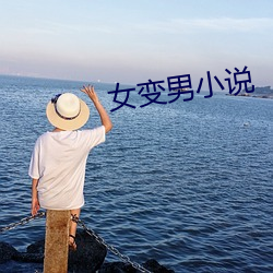女變男小說