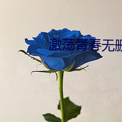 激荡青春无删减版