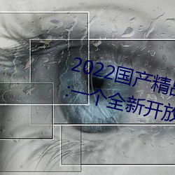 2022國産精品一卡2卡3卡4卡新區:一個全新開放的國産精品影