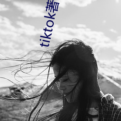 tiktok著名黄主排名 （截镫留鞭）