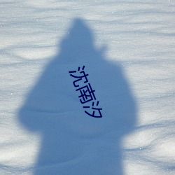 沈南汐