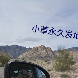 小草永久发地布地扯 （多收并畜）