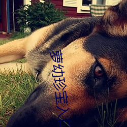 蘿幼珍寶入口