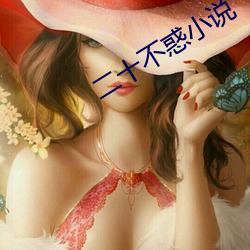 二十不惑(惑)小说