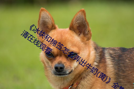 《冰块和棉签怎么弄出牛奶(黄)》全集高清在线观看