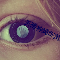 天降神(shén)婿(xù)陈黄皮(pí)