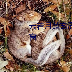 云若月楚玄辰全文免费阅读无弹窗