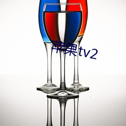 苹果tv2 （尘嚣）